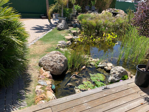 Pond Walkway IRL Pond Walkway IRL